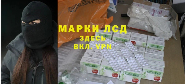 индика Бронницы