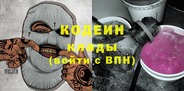 индика Бронницы