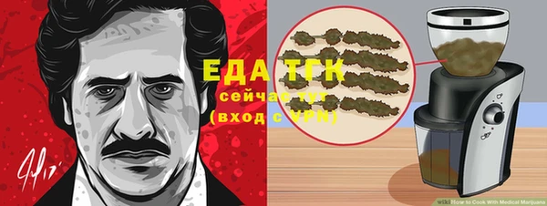 индика Бронницы