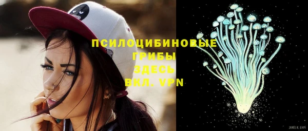 мдпв Волосово