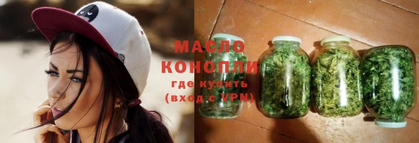 индика Бронницы
