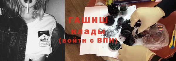 индика Бронницы