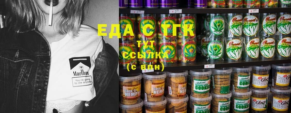 индика Бронницы