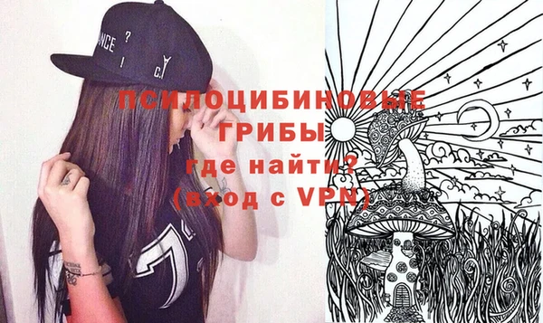 индика Бронницы